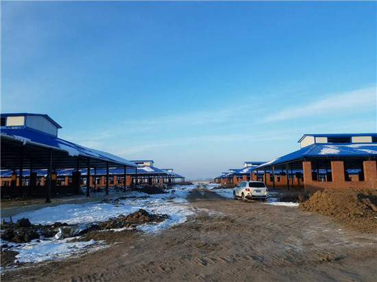 k1���� - ʮ��Ʒ�� ֵ������