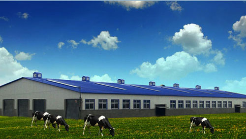 k1���� - ʮ��Ʒ�� ֵ������