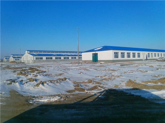 k1���� - ʮ��Ʒ�� ֵ������