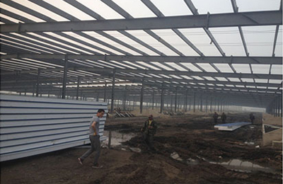 ������ţ��