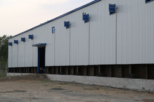 k1���� - ʮ��Ʒ�� ֵ������