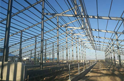 ��������ţ������6000ƽ