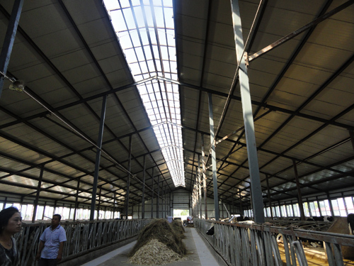 k1���� - ʮ��Ʒ�� ֵ������