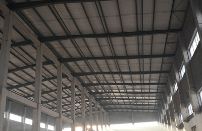 �����ж�ɭ���������޹�˾