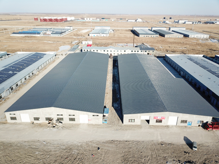 k1���� - ʮ��Ʒ�� ֵ������