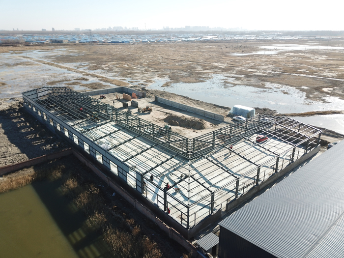 k1���� - ʮ��Ʒ�� ֵ������