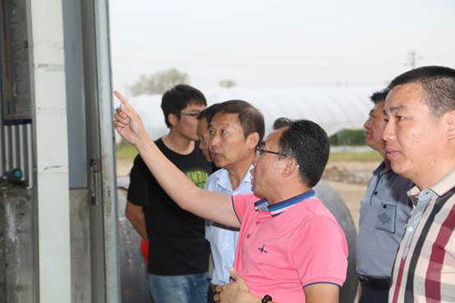 k1���� - ʮ��Ʒ�� ֵ������