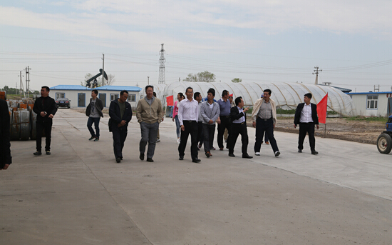 k1���� - ʮ��Ʒ�� ֵ������