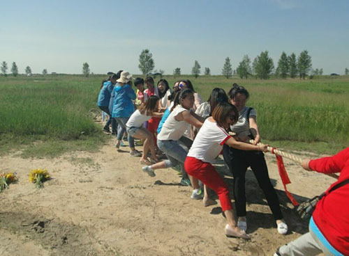 k1���� - ʮ��Ʒ�� ֵ������