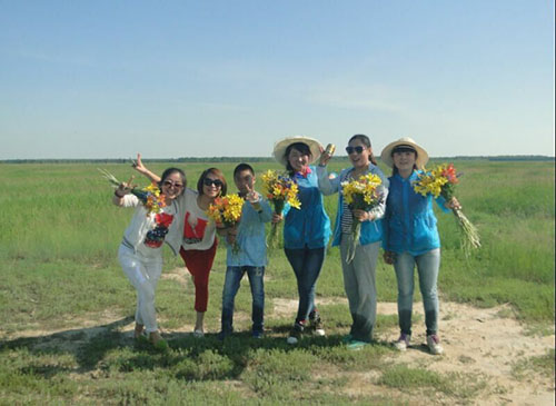 k1���� - ʮ��Ʒ�� ֵ������