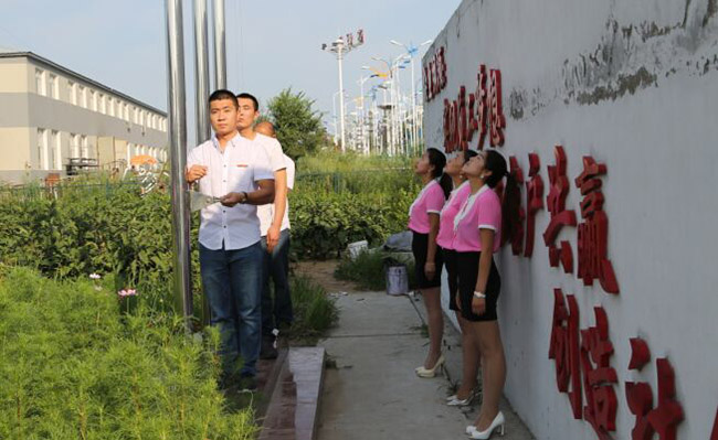 k1���� - ʮ��Ʒ�� ֵ������