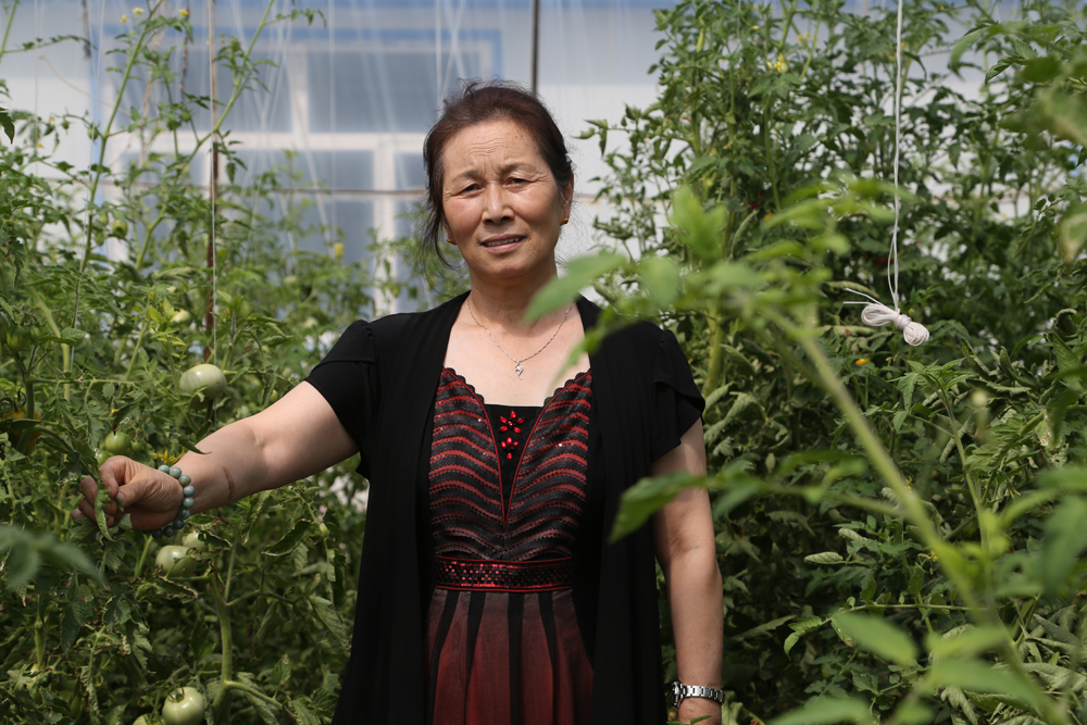 k1���� - ʮ��Ʒ�� ֵ������