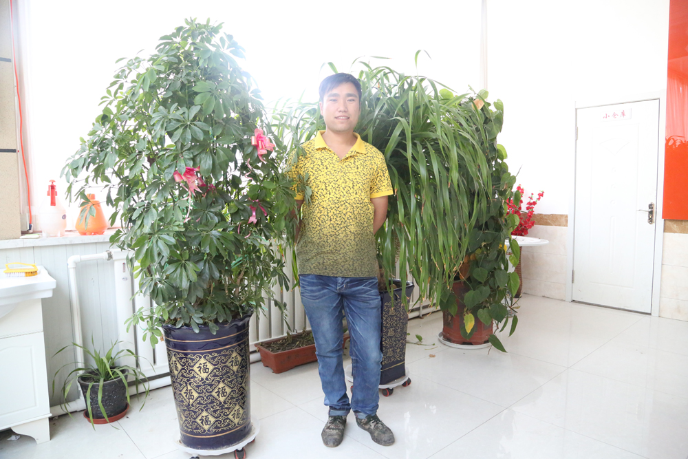 k1���� - ʮ��Ʒ�� ֵ������