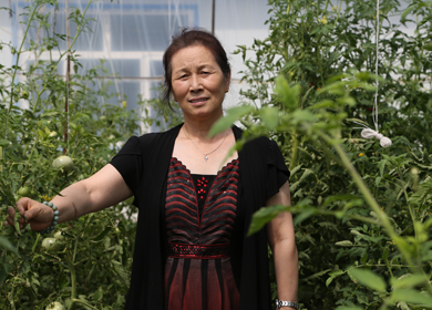 ��ҵԪ��-����֥