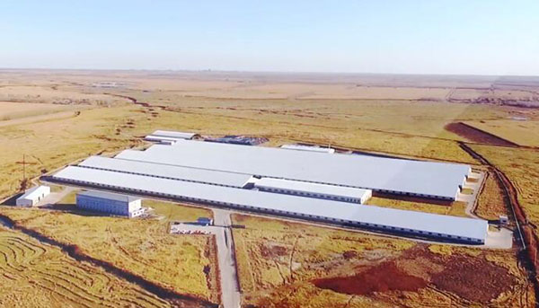 k1���� - ʮ��Ʒ�� ֵ������