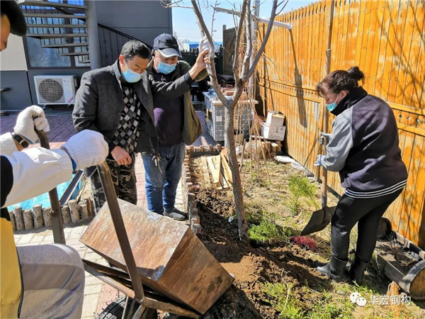 k1���� - ʮ��Ʒ�� ֵ������