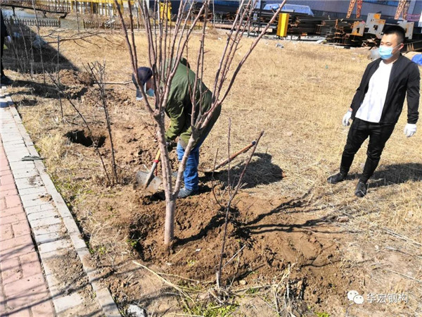 k1���� - ʮ��Ʒ�� ֵ������