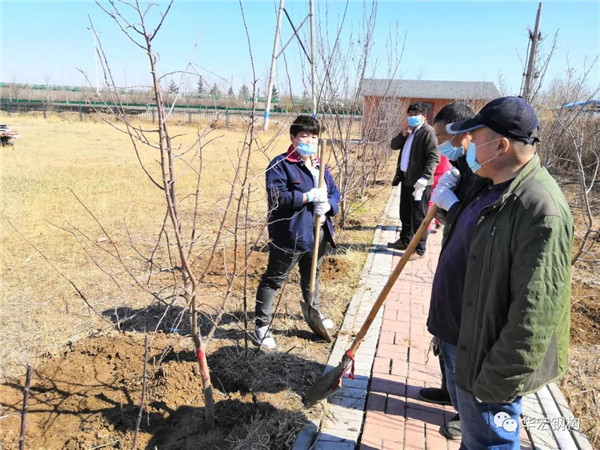 k1���� - ʮ��Ʒ�� ֵ������