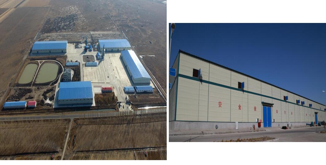 k1���� - ʮ��Ʒ�� ֵ������