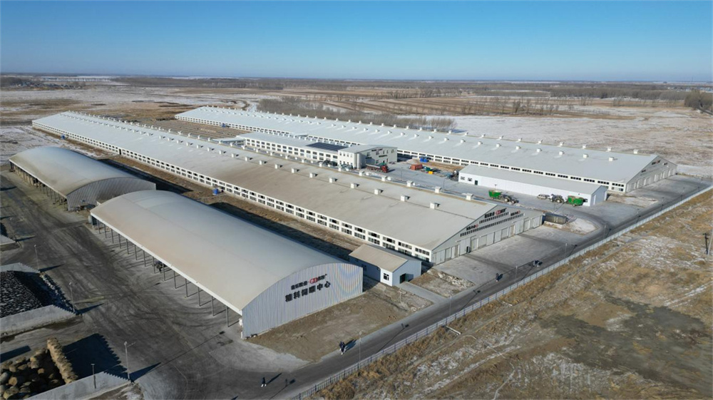 k1���� - ʮ��Ʒ�� ֵ������